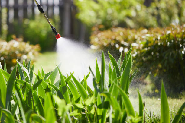 24/7 Emergency Mosquito Control experts in Orange City, IA